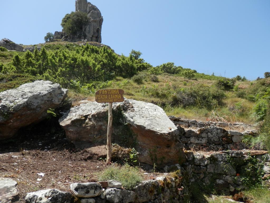 Appartamento Maremontagna カルデードゥ エクステリア 写真